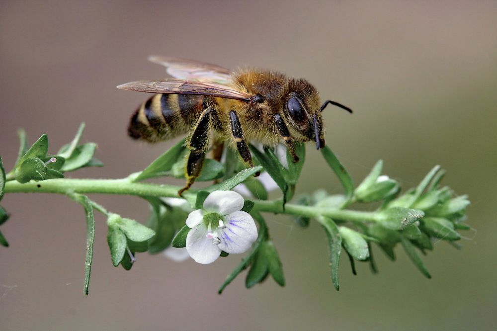 Photograph by Игорь Осипов