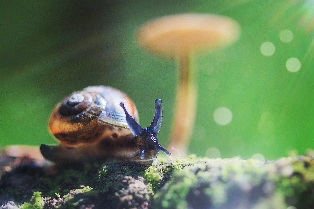 Познакомимся?