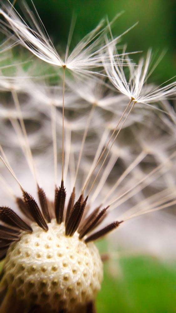 Готовность