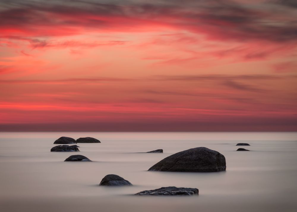 На берегу Финского залива