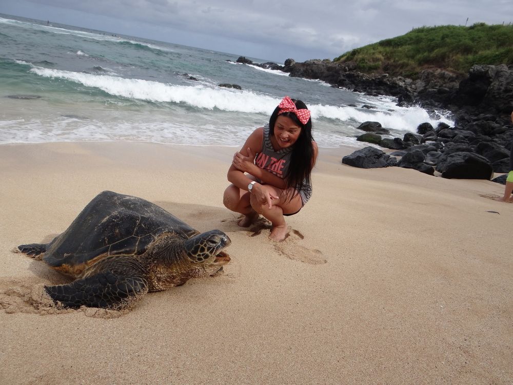 остров Мауи(Гавайи)