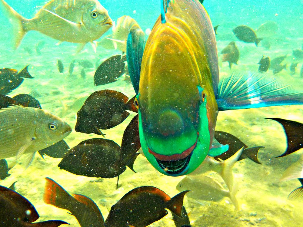 Photograph by Kandubasha