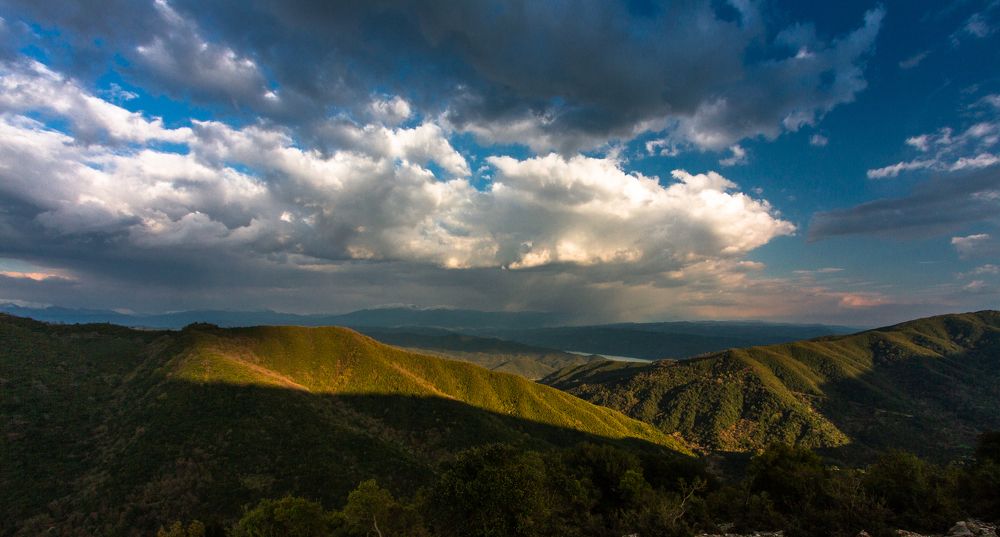 Photograph by Eriks Zilbalodis