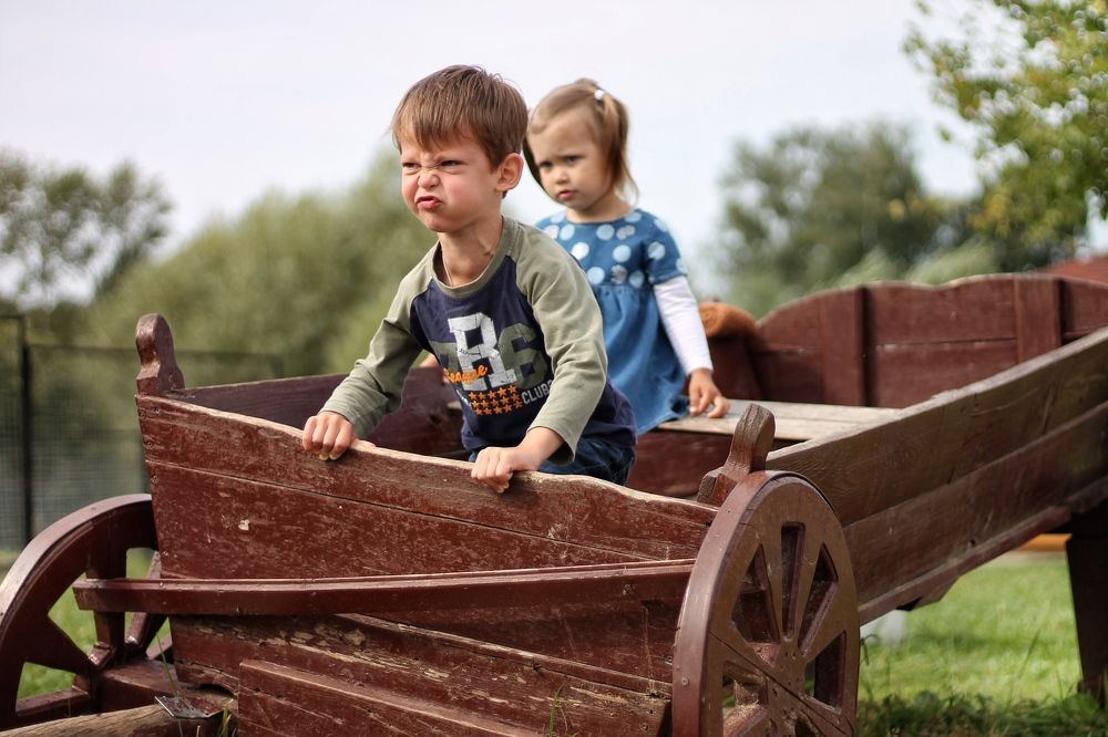 Photograph by Любовь Кудрявцева