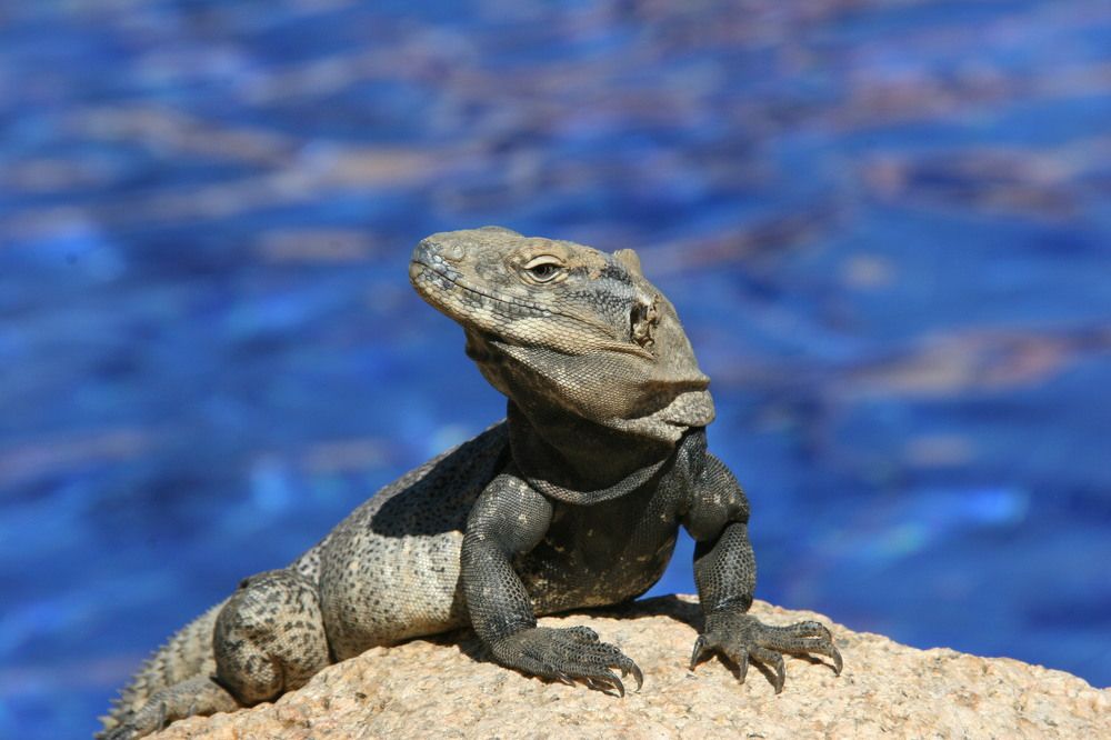 пляжик любят все