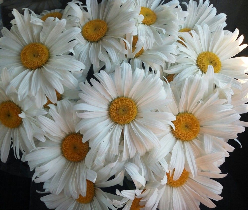 Фотография автора Анна