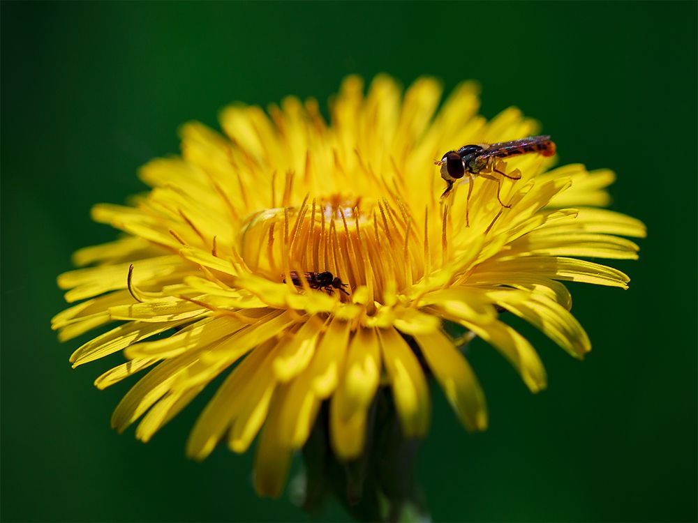 Photograph by Юлия