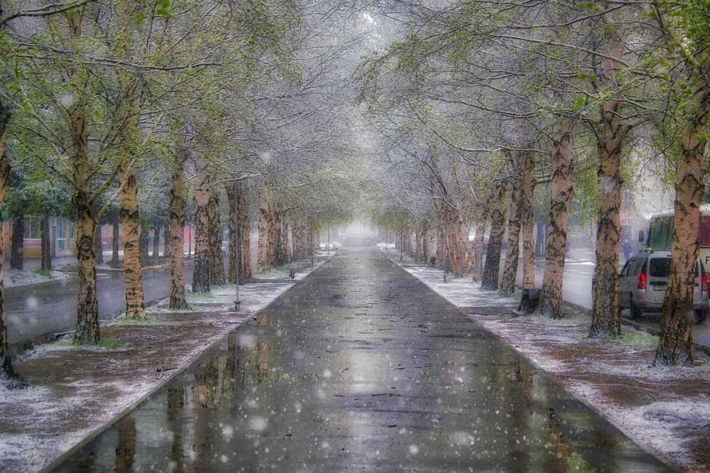 майский снег