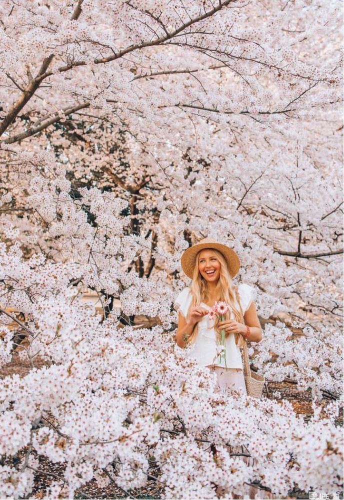 девушка в цвету