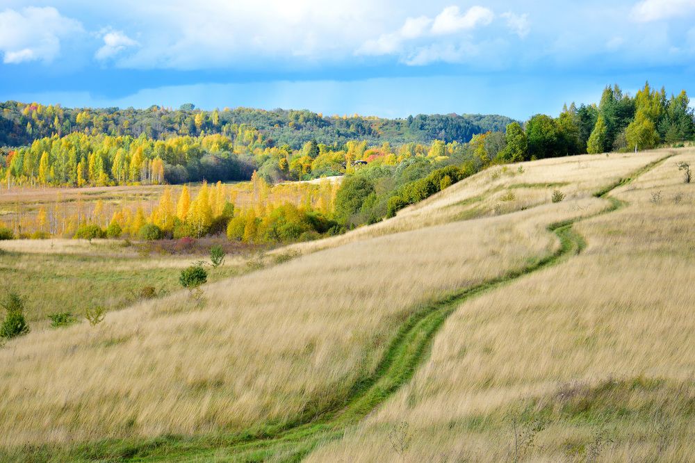 Золотая осень