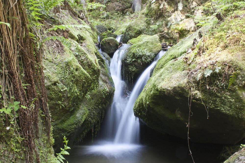 По Дороге Художников
