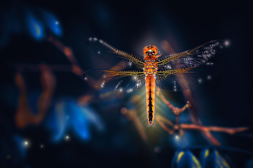 Где то в параллельном мире