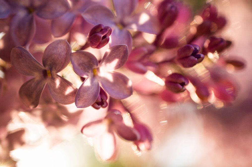 Photograph by Мария