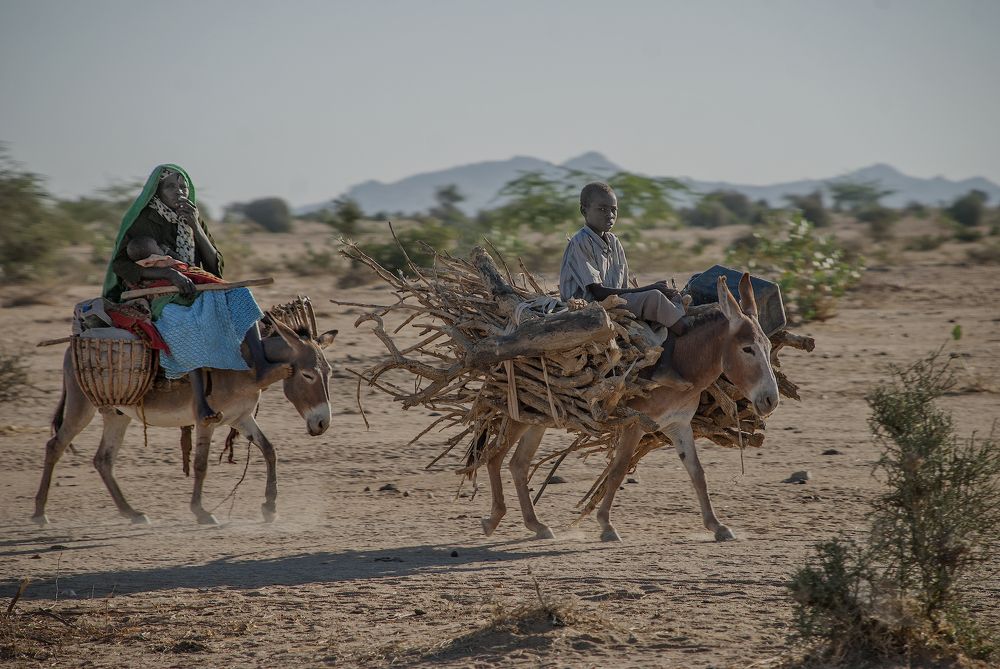 Зима будет холодной...
