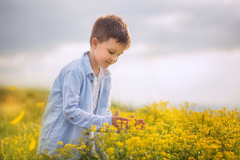 Ставрополье