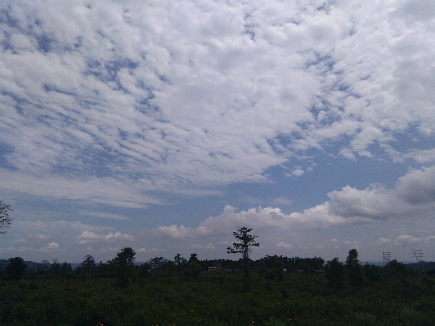 Couldn't ignore clouds
