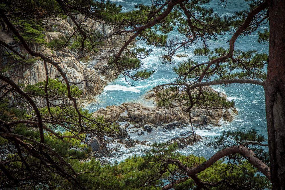 Photograph by Сигида Дмитрий