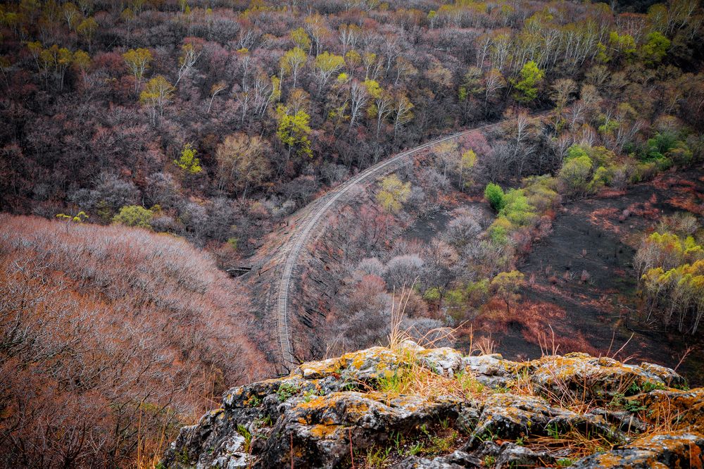 Photograph by Сигида Дмитрий