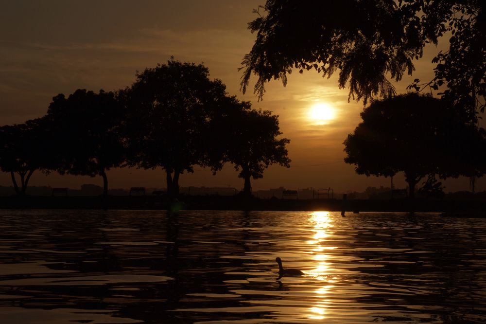 Photograph by Arvindkompelli