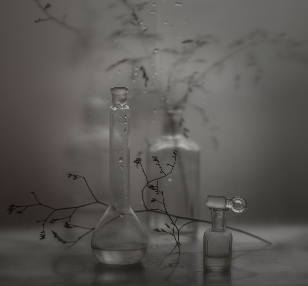 туманное безмолвие*