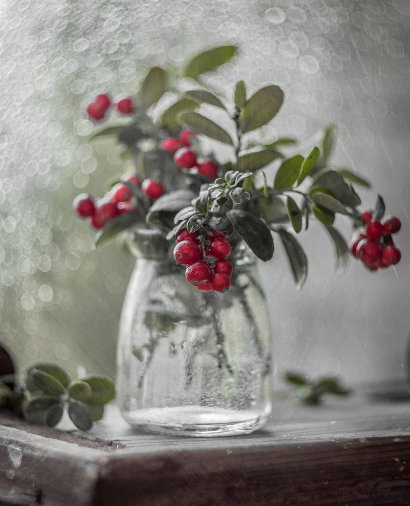 брусничное*