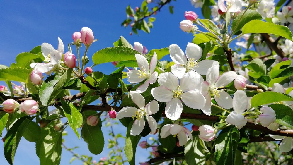 Photograph by Елена