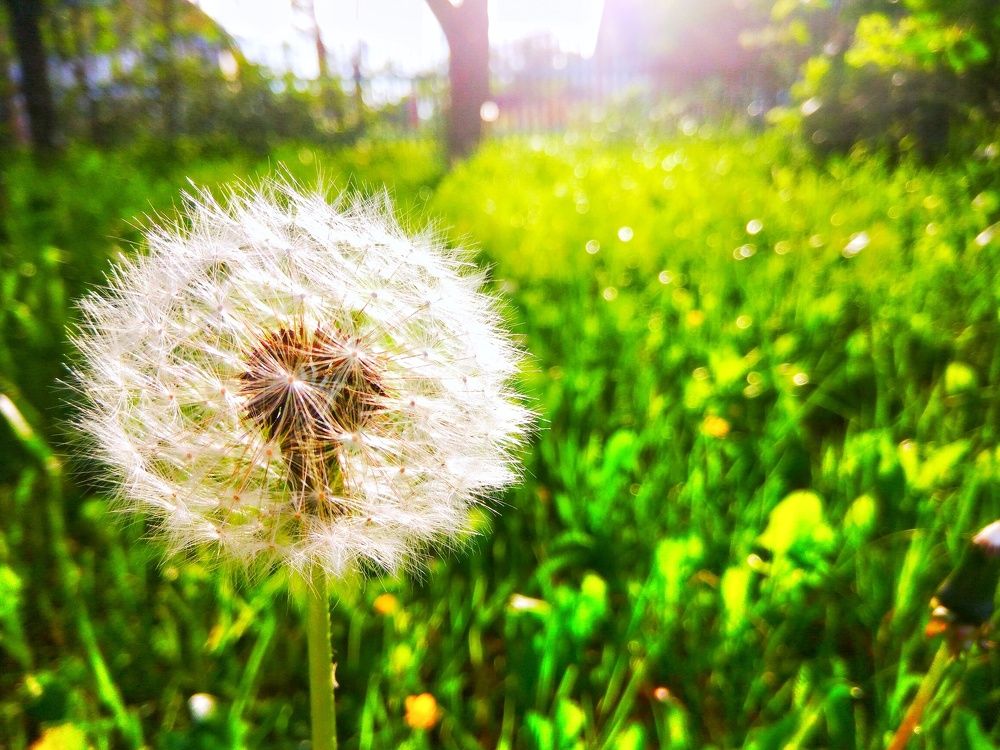 Лёгкость & Красота