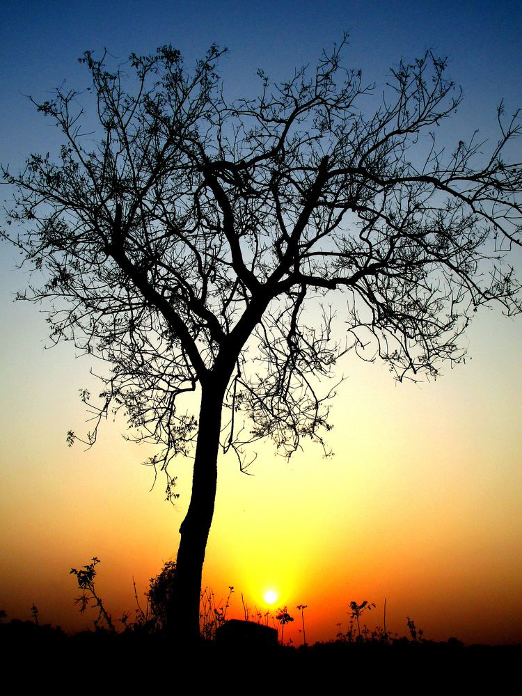 Sun rise