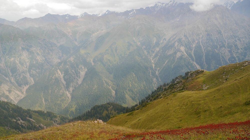 Заилийский алатау