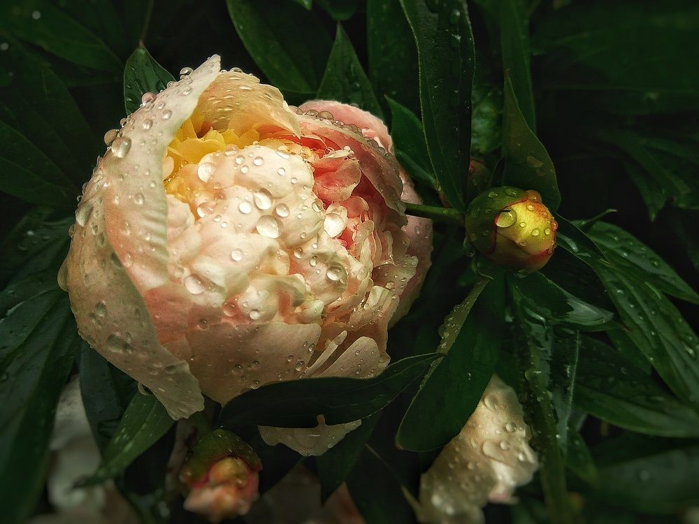 Photograph by Stanislava K.