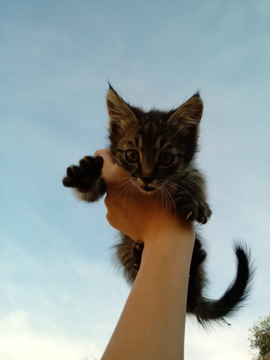 Любимец❤