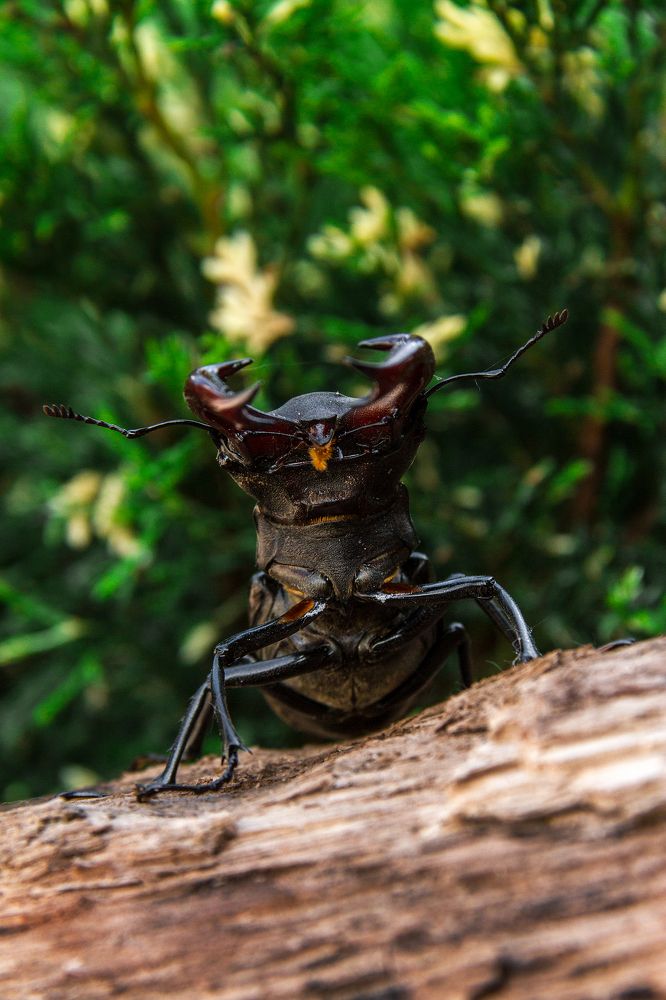 Знакомство...