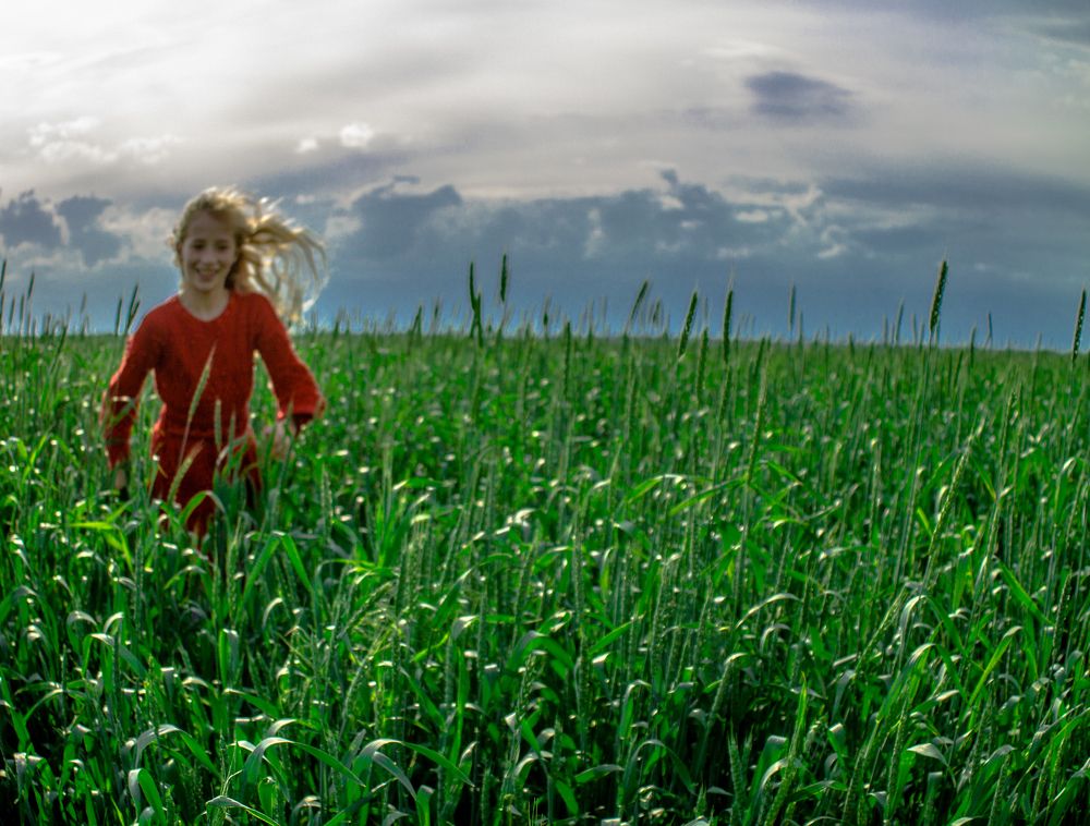 Туча догони....