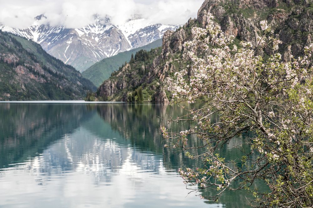 Поздняя весна на Сары-Челеке