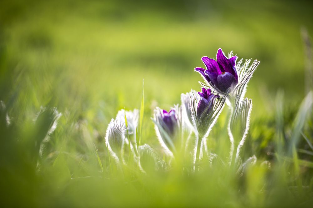Пробуждение...