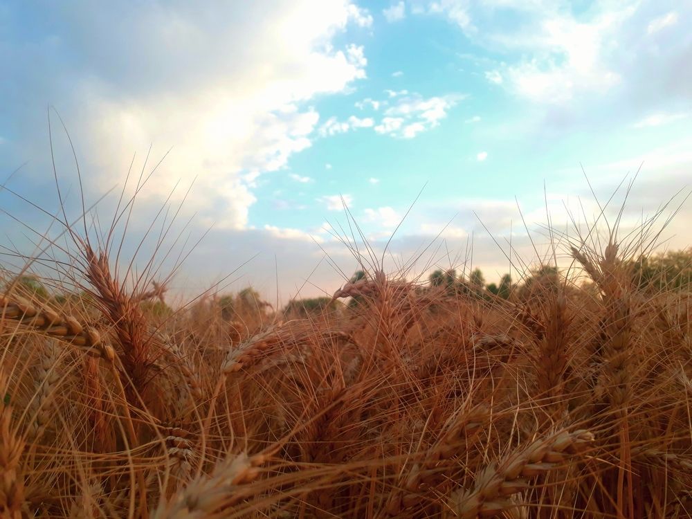 Nature &sky