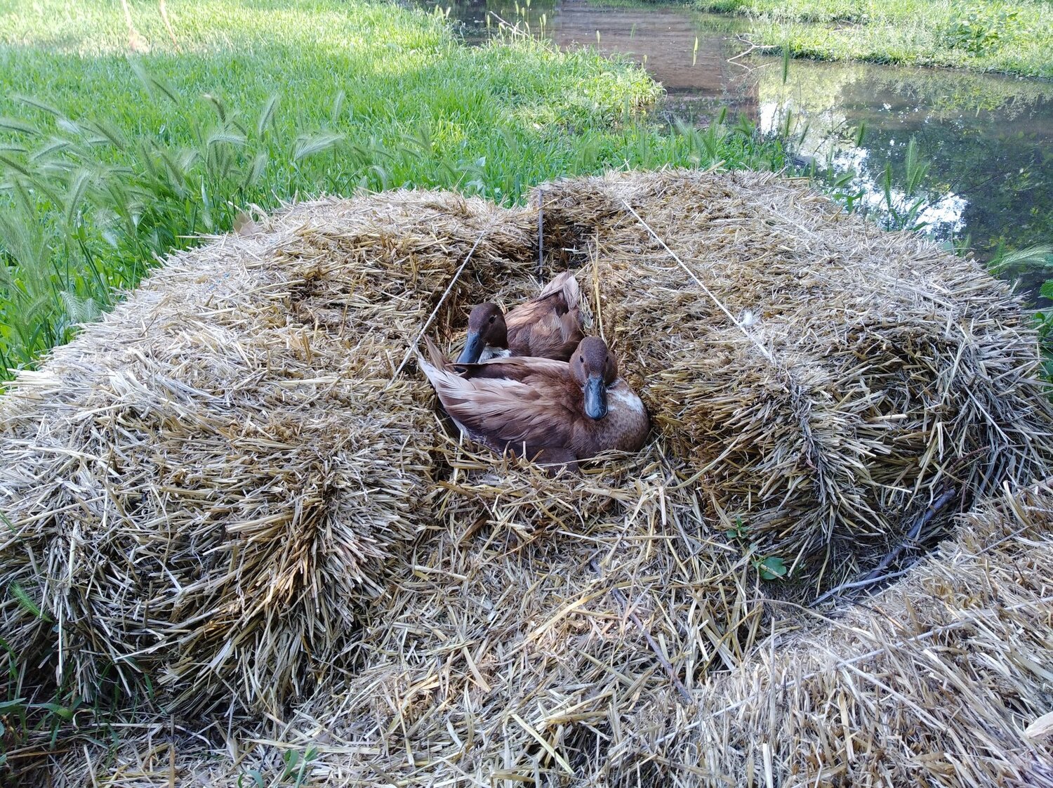 Семейный портрет