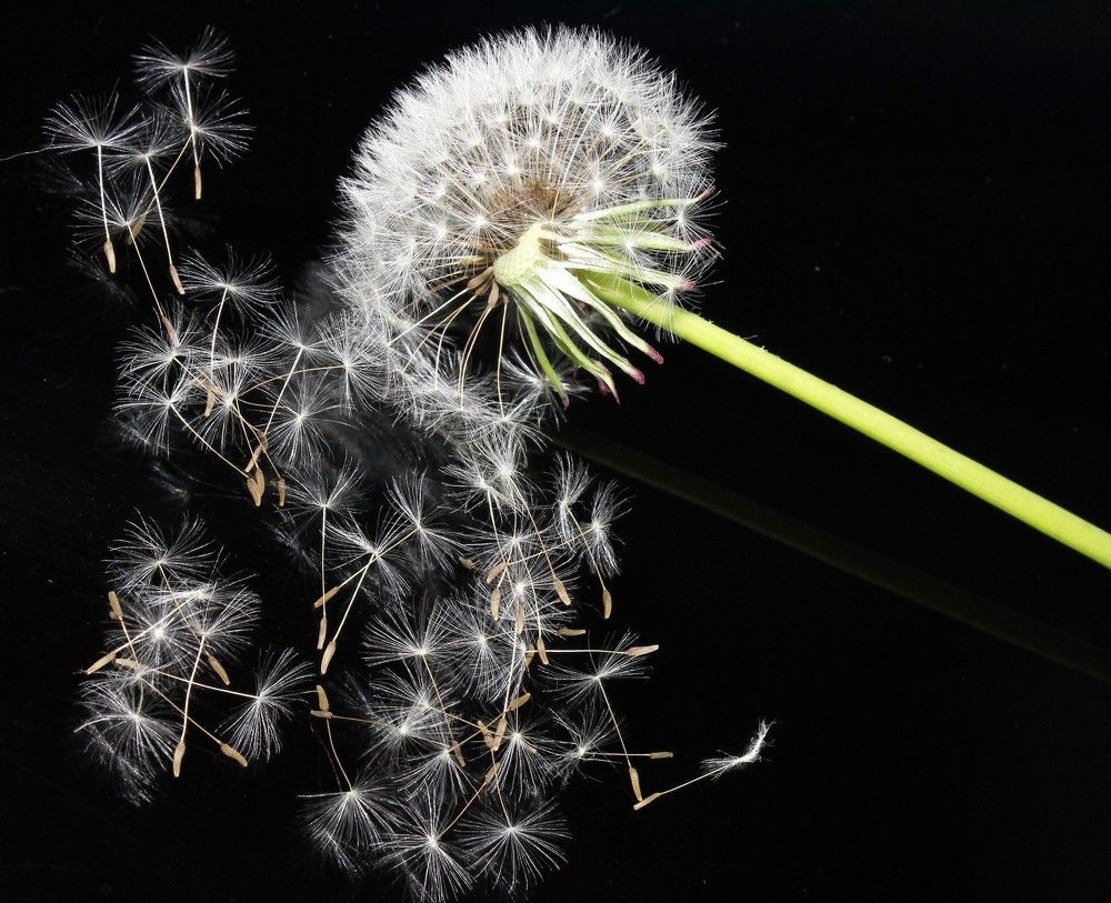 Photograph by Мария Глинская