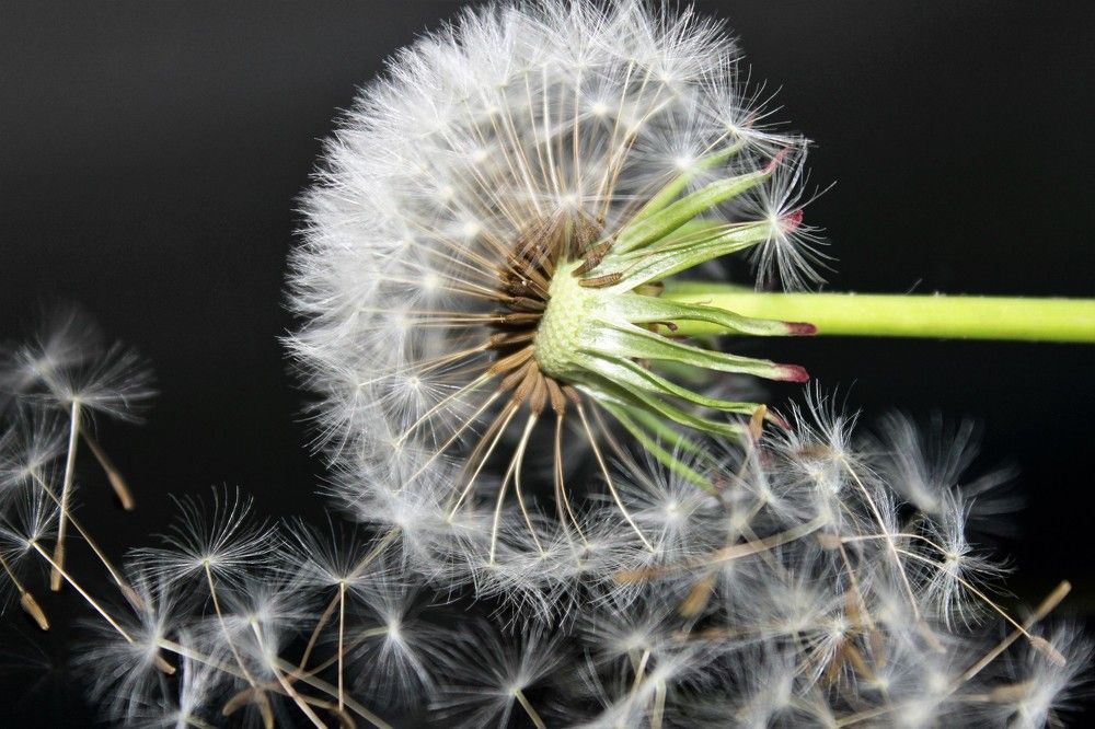 Photograph by Мария Глинская