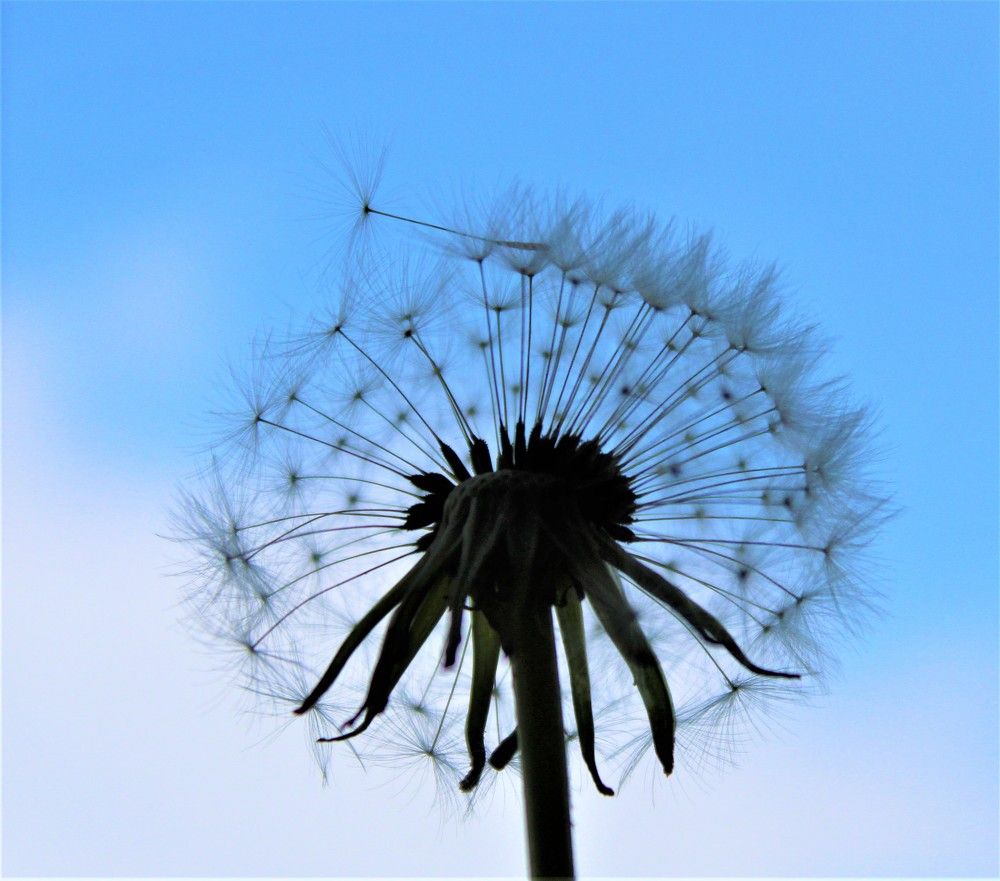 Photograph by Мария Глинская