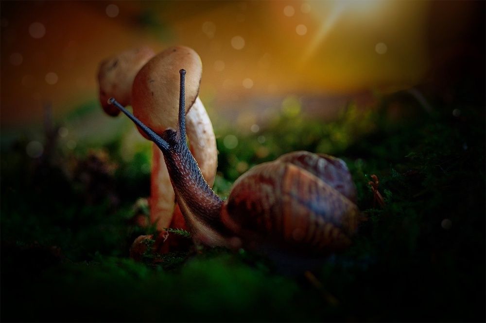 Photograph by Юлия