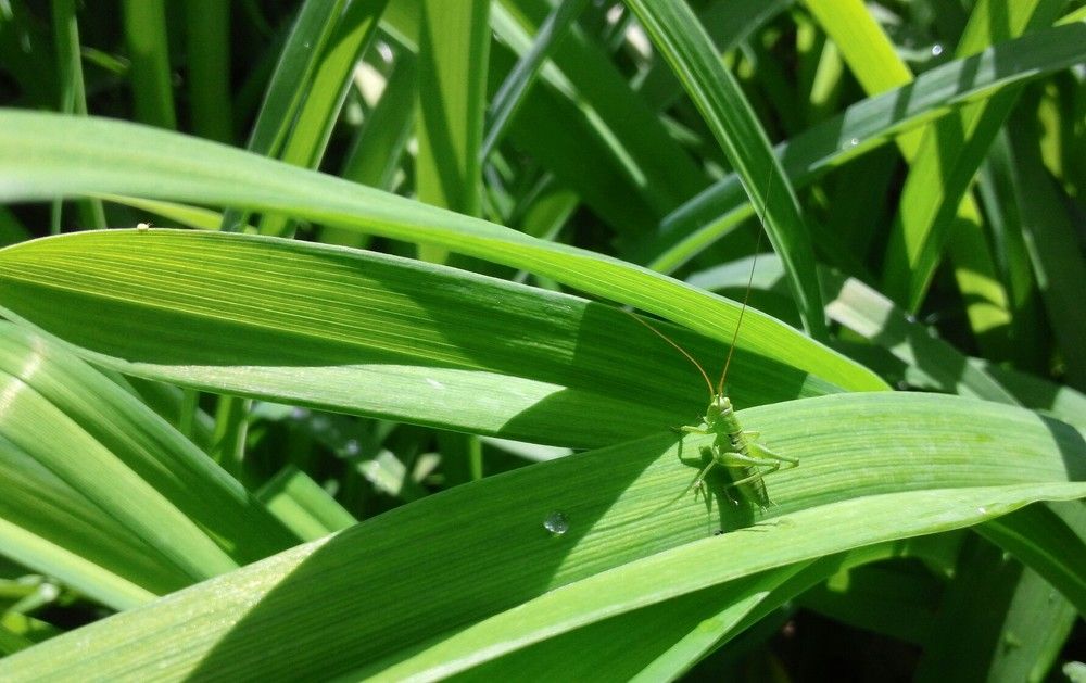 Photograph by Василий