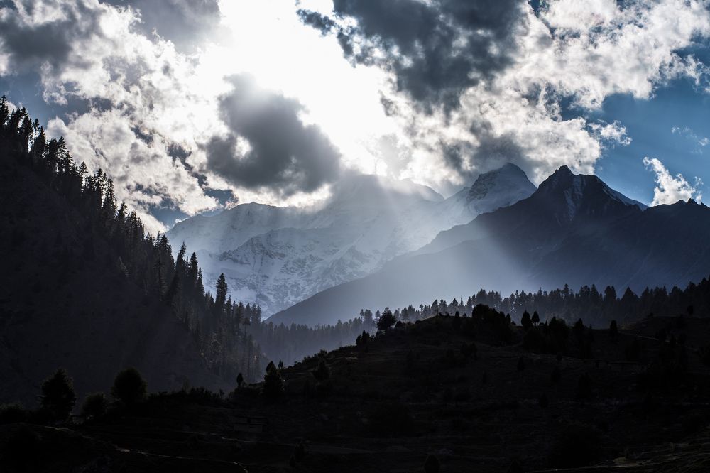 Nature and acquisition