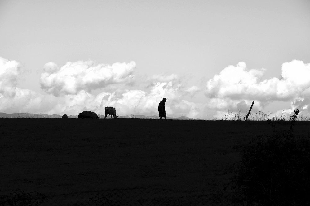 Без название.