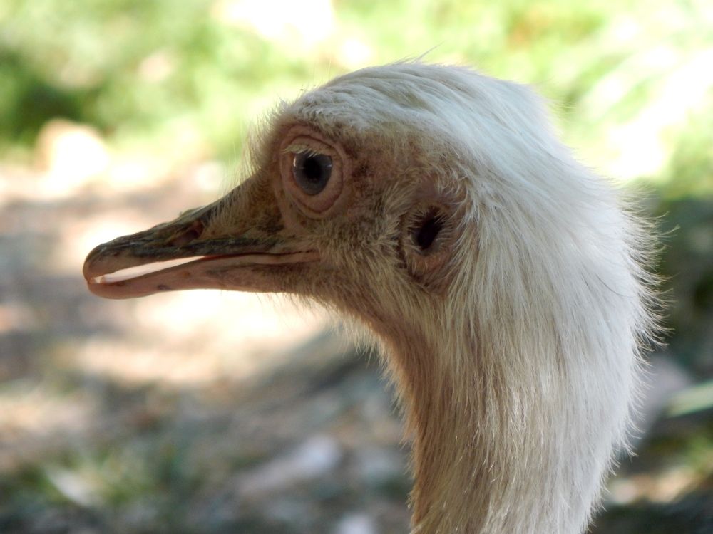 Я оглянулся посмотреть.....