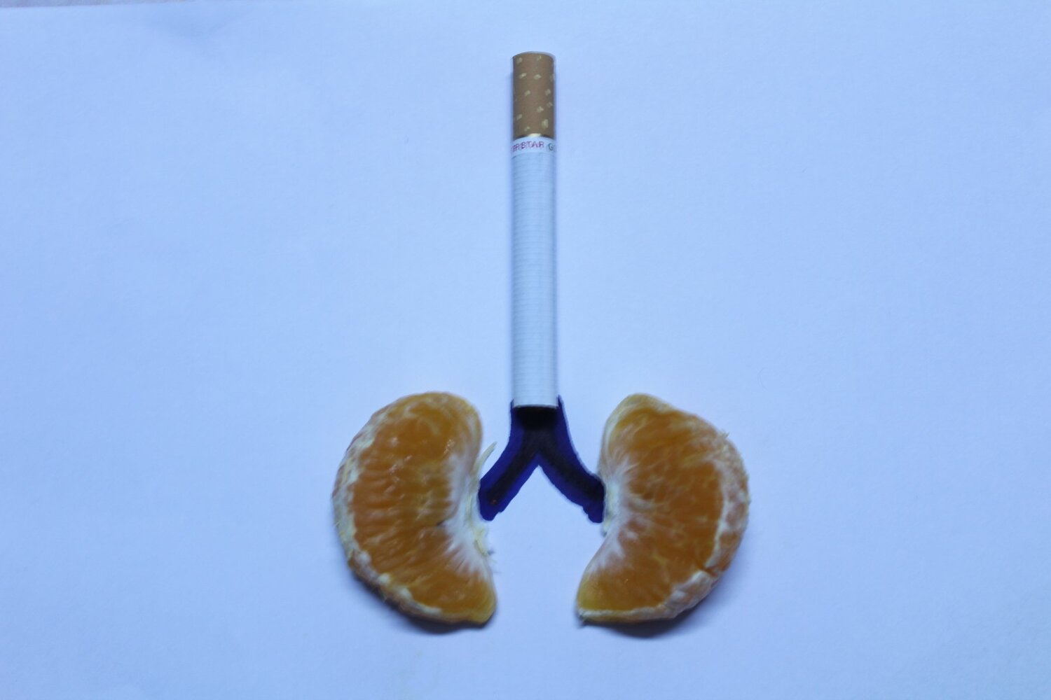 || SMOKING AND LUNGS ||