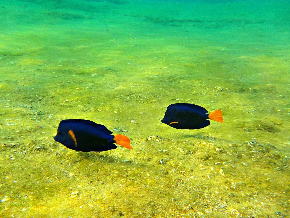 Photograph by Kandubasha