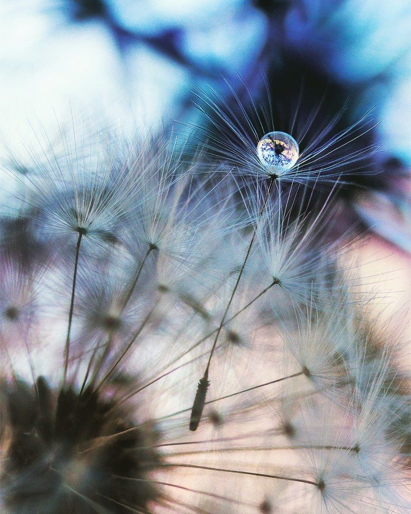 Photograph by Юлия