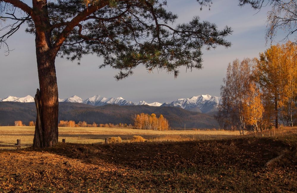 Путешествие в золотую осень