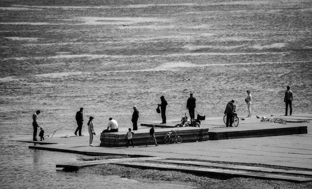 Береговая линия